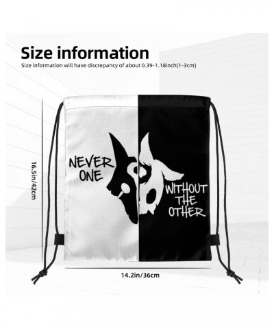 Kindred Backpack $5.55 BackPack